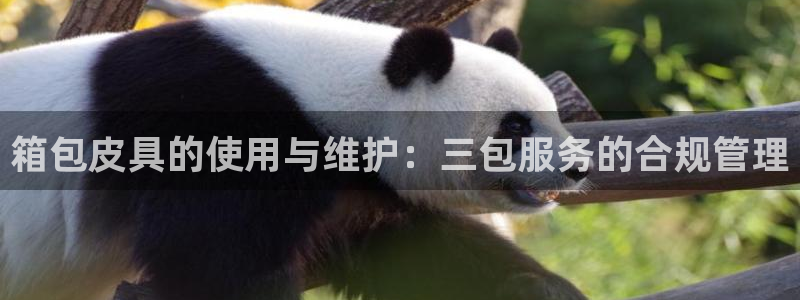 琳琅娱乐登入官网