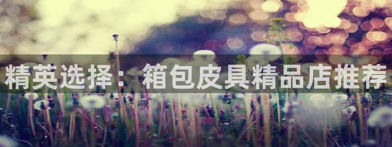 琳琅娱乐在线观看