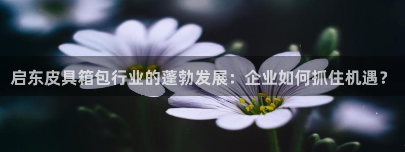 琳琅科技qq娱乐机器人怎么搞