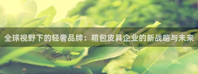 琳琅娱乐代理注册