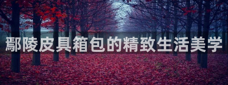 琳琅娱乐工作室招聘