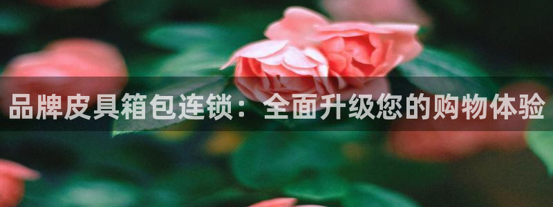 琳琅娱乐百科