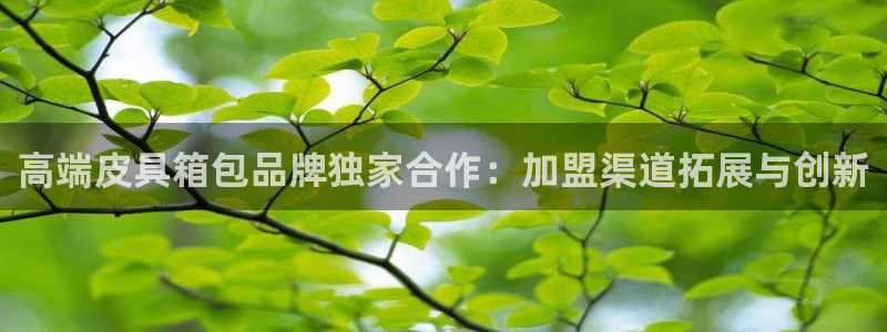 琳琅娱乐代理21192