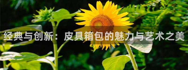琳琅科技娱乐机器
