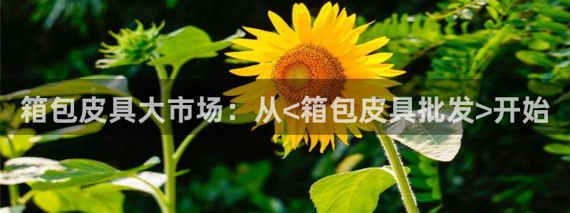 琳琅娱乐登录