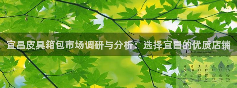 琳琅娱乐工作室