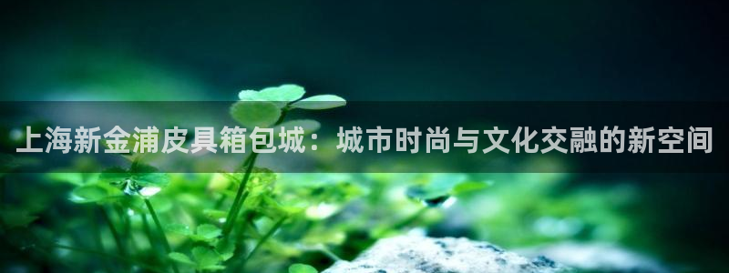 琳琅科技qq娱乐机器人怎么搞