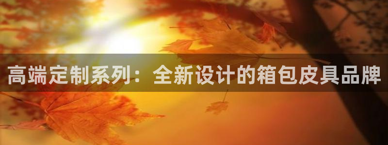 qq飞车琳琅娱乐组