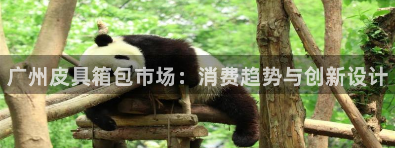 琳琅科技娱乐机器人下载