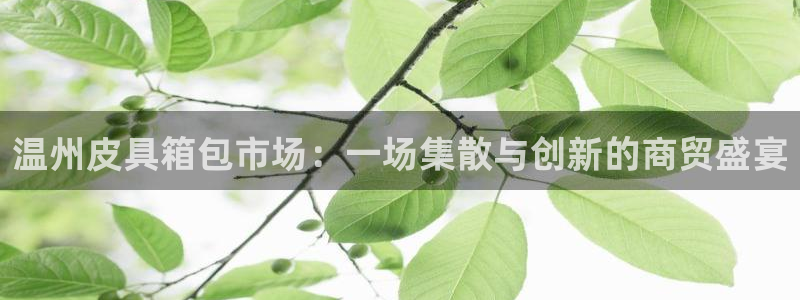 琳琅娱乐场所在哪里