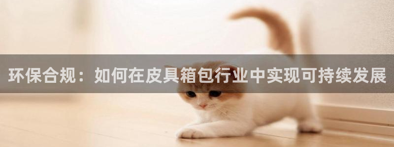 琳琅娱乐足球