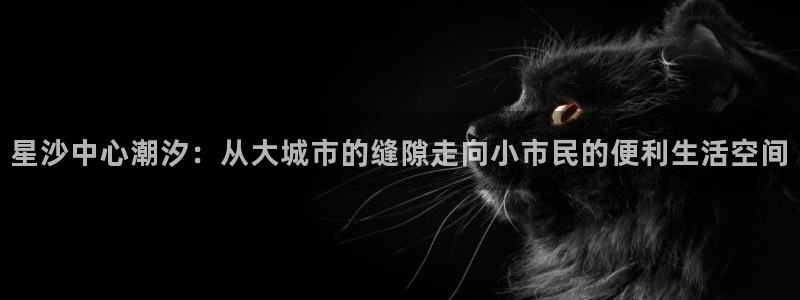 琅琳琅娱乐