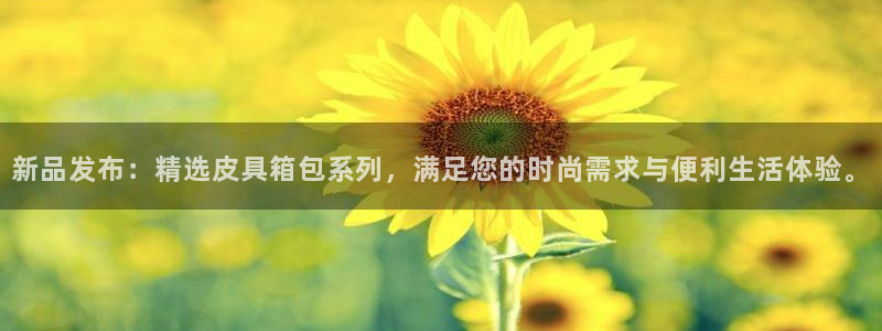 琳琅娱乐总代