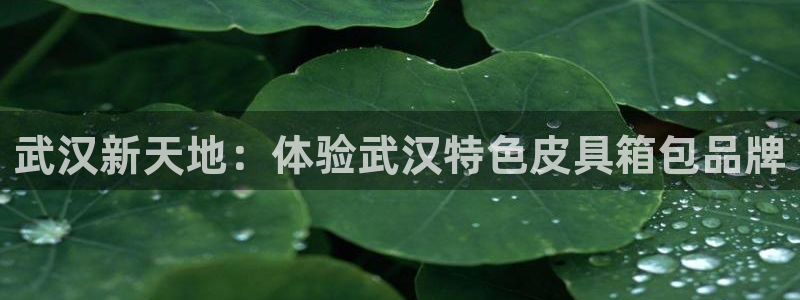 琳琅社区文艺娱乐