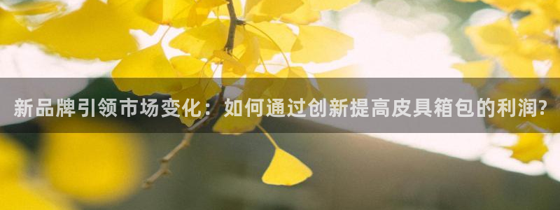 琳琅娱乐代理怎么做的